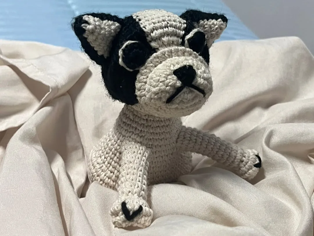 Bulldog Francés
