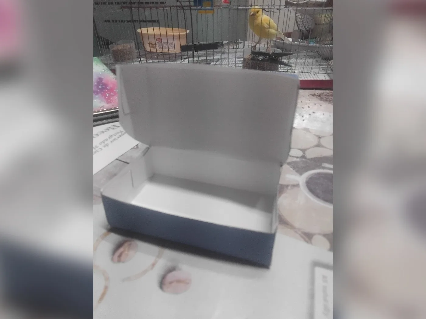 Cajas de regalos