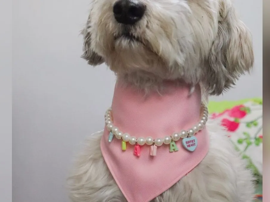 Collar de perlas blancas y nombre