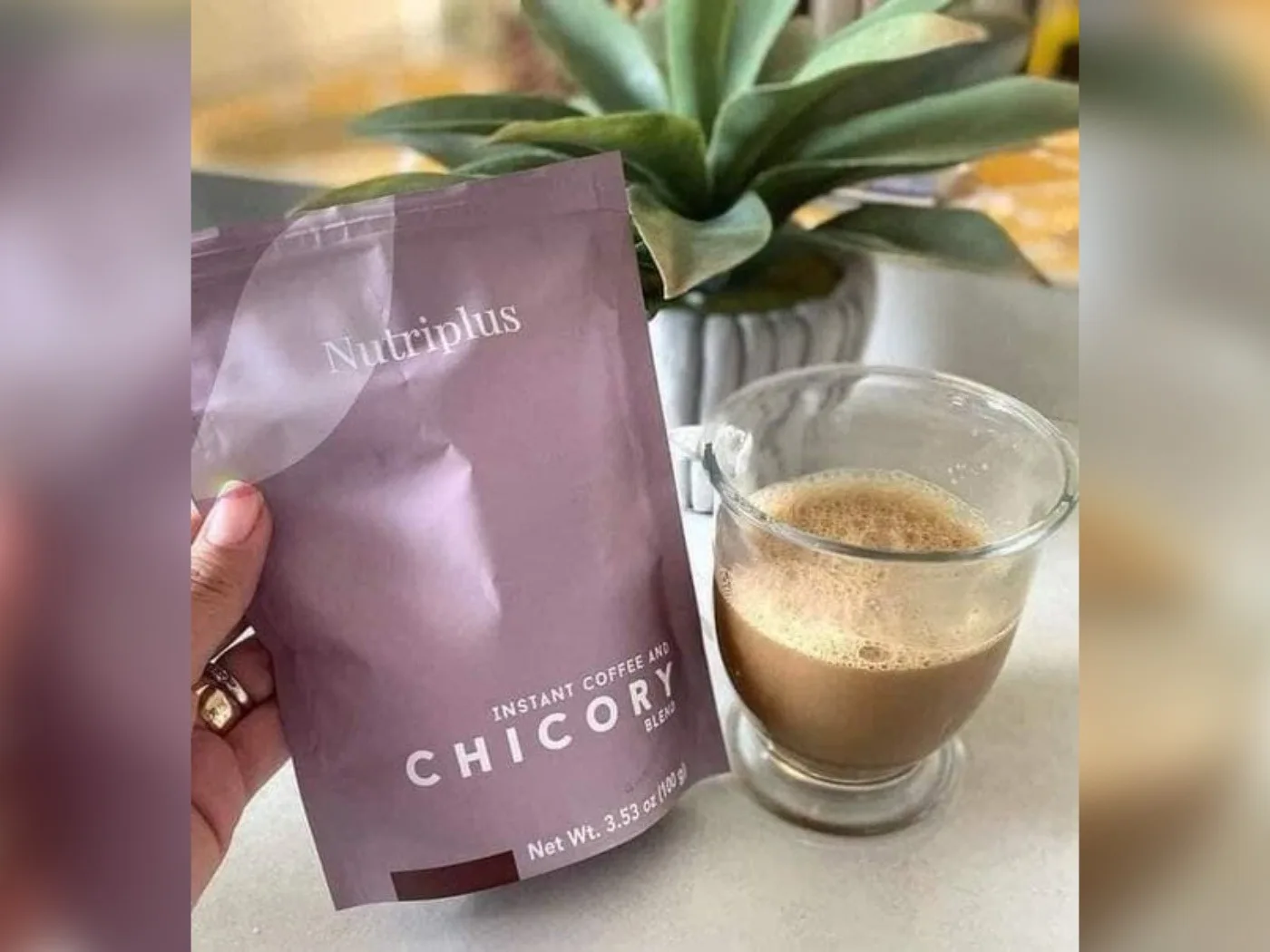 ✨️CAFÉ DE ACHICORIA🌿